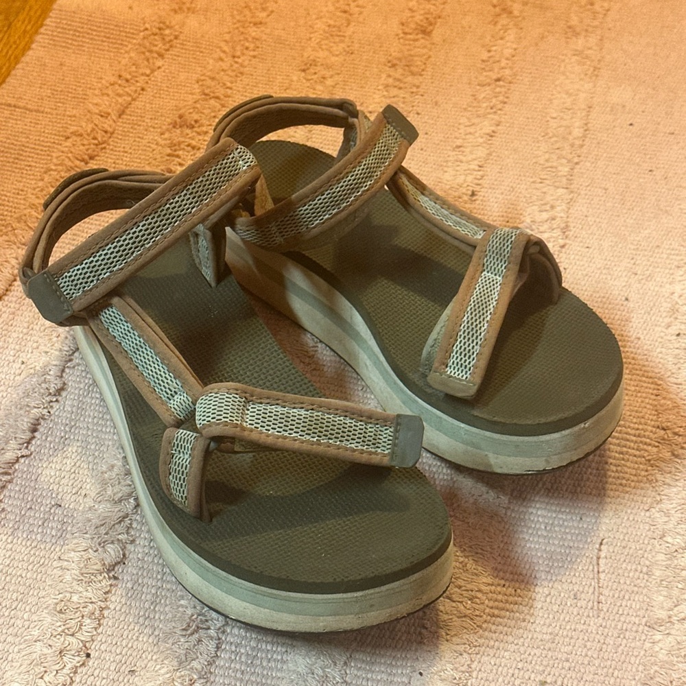 Olive platform Tevas